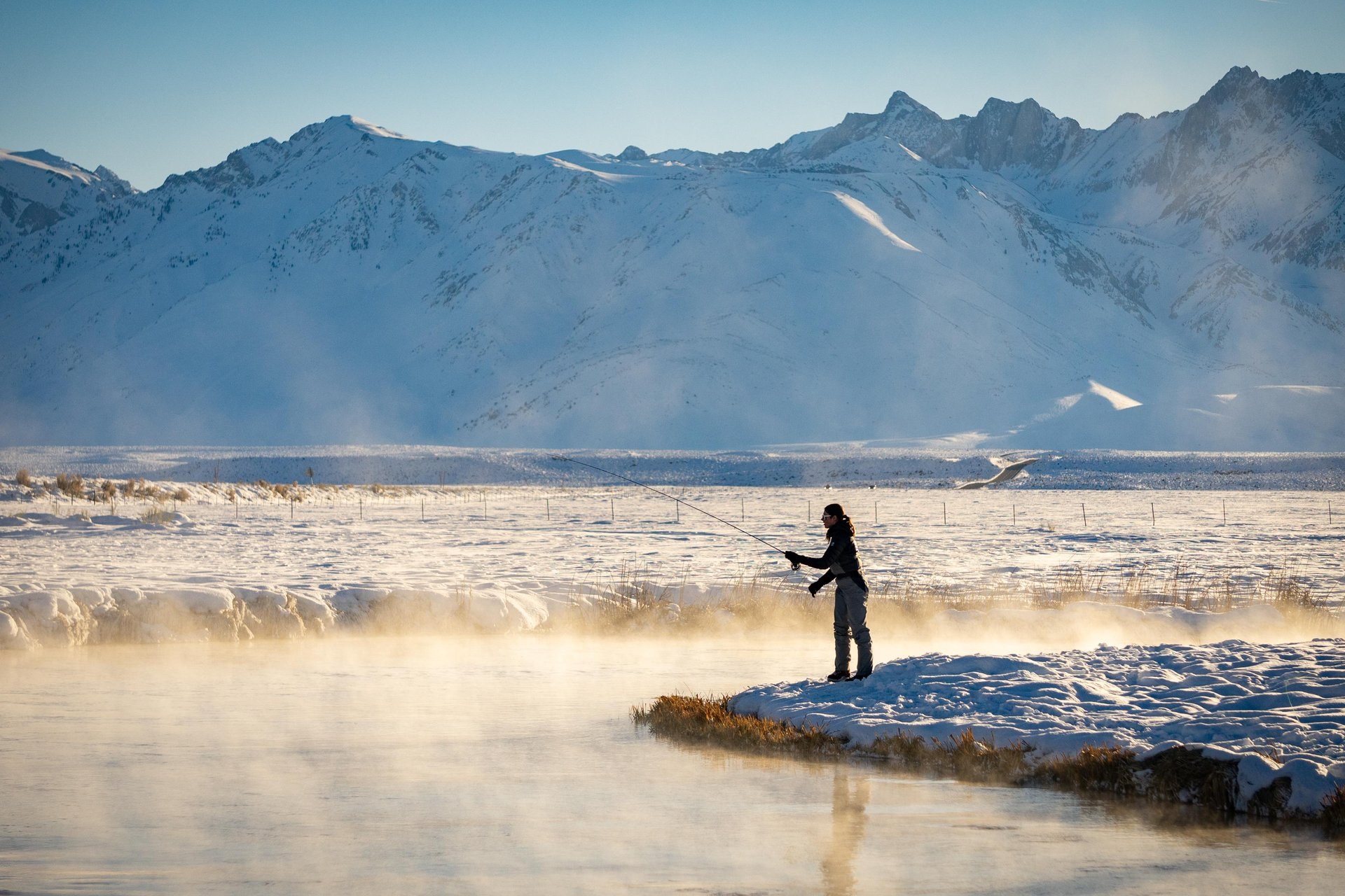 Fly Fishing Upper Owens