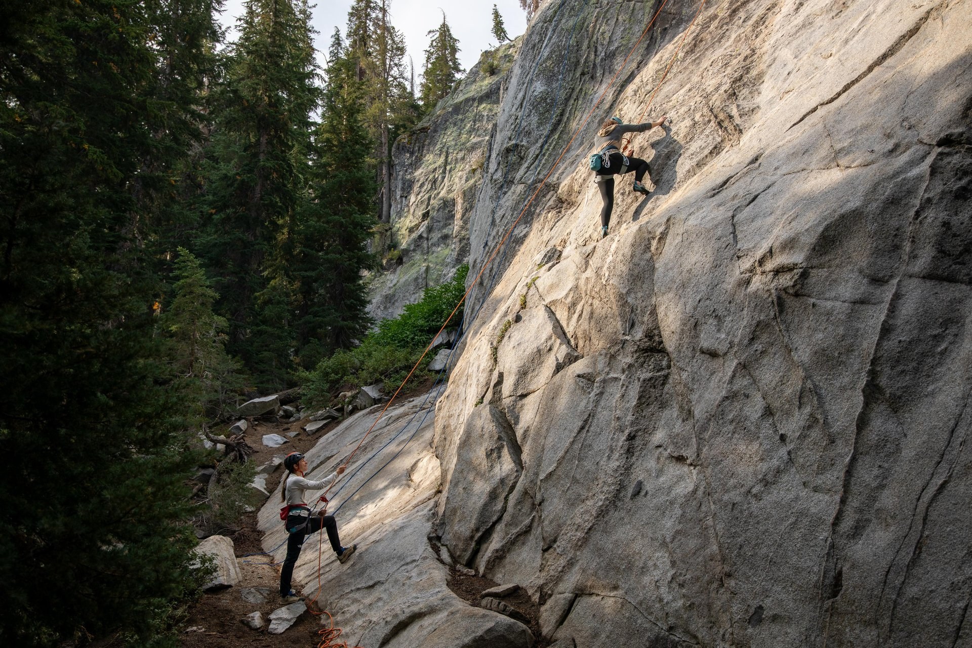 Horseshoes Slabs