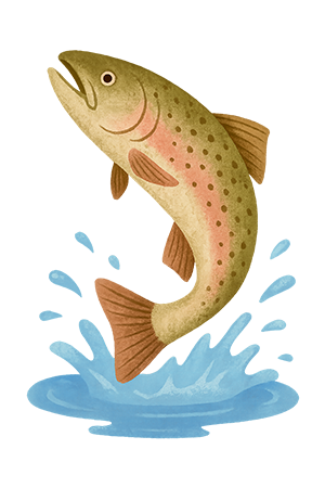 Trout