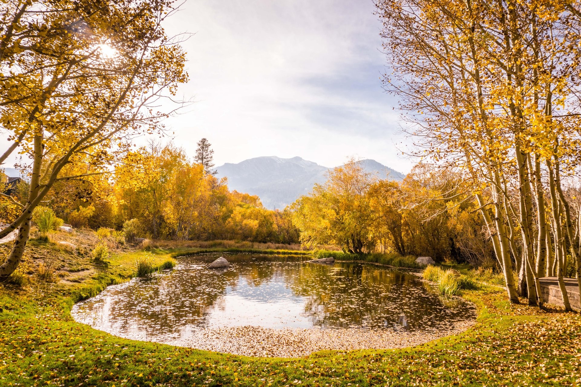 Snowcreek Ponds