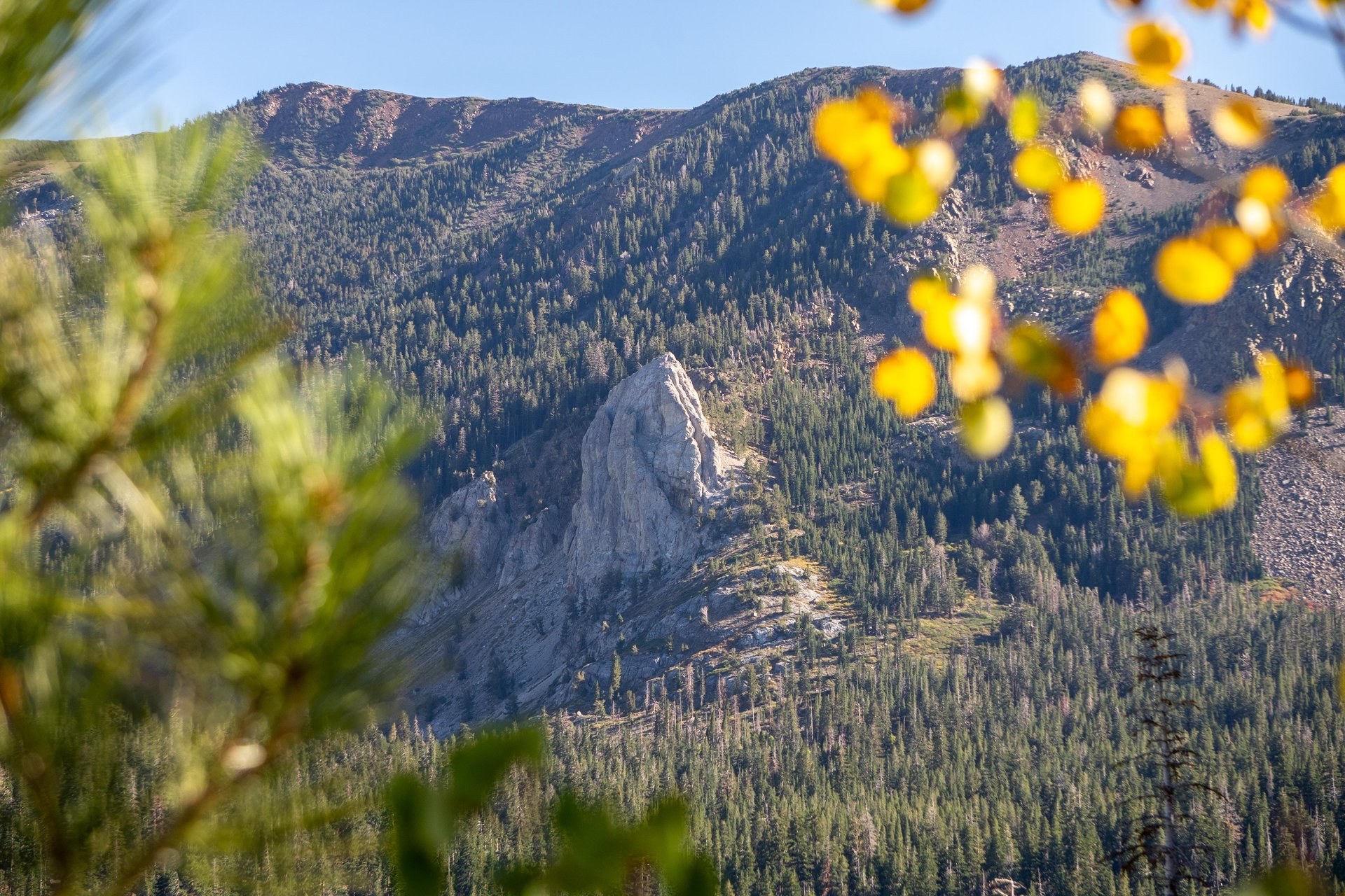 Mammoth Rock