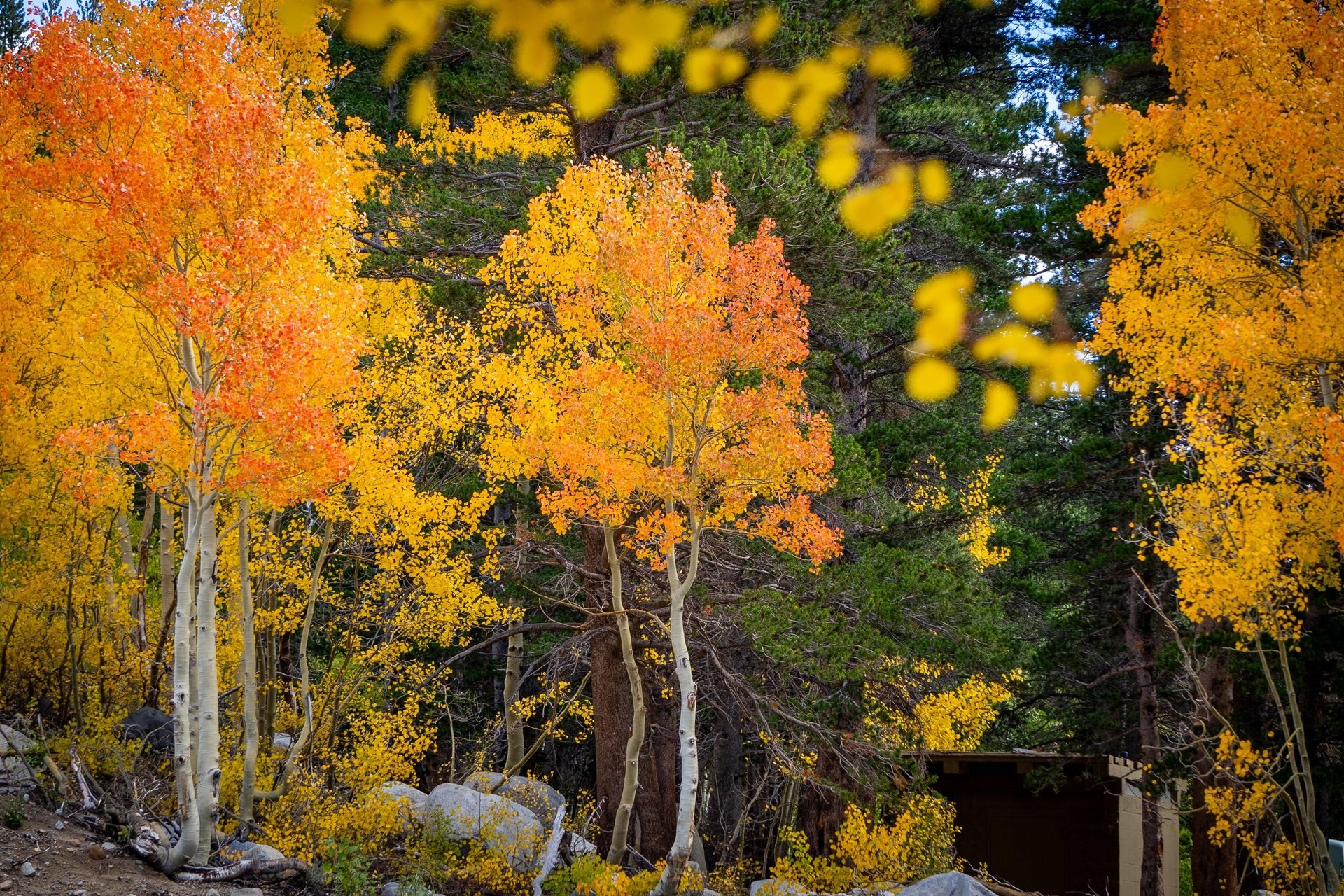 Rock Creek