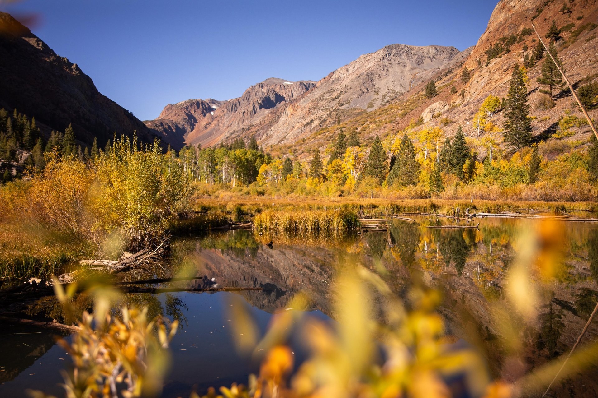 Lundy Canyon