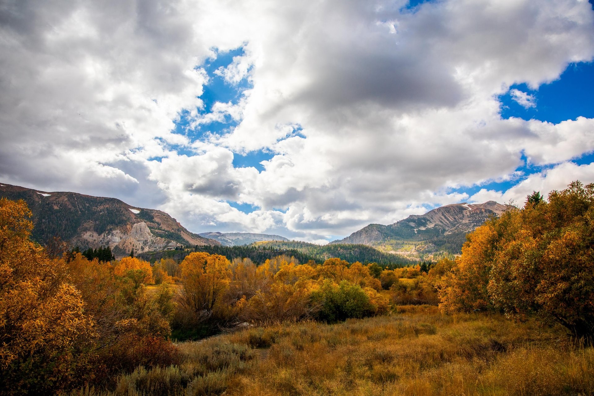 Mammoth Creek