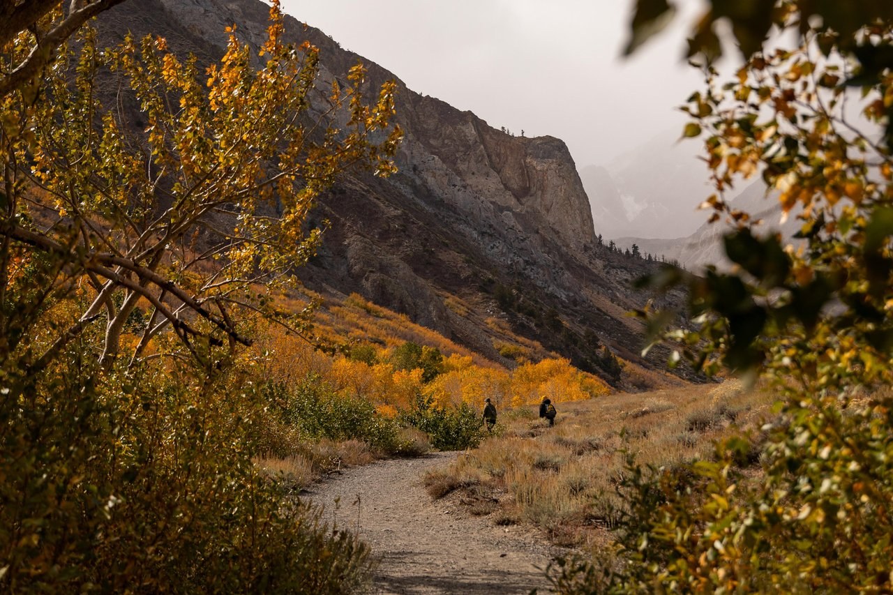 McGee Creek